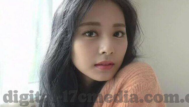 糖心vlog哪个漂亮-探索糖心Vlog的美学魅力，谁是这个平台上的漂亮担当？